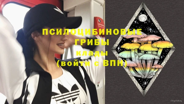 PSILOCYBIN Балабаново