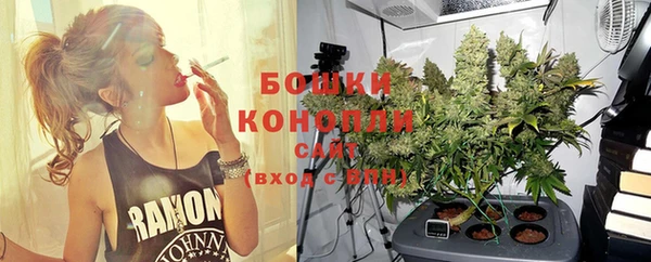 mix Белокуриха