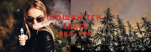 PSILOCYBIN Балабаново